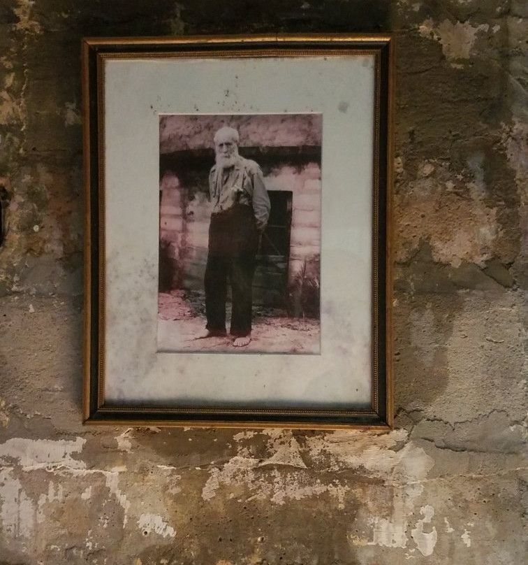 Tolstoy Park-费尔霍普必去景点