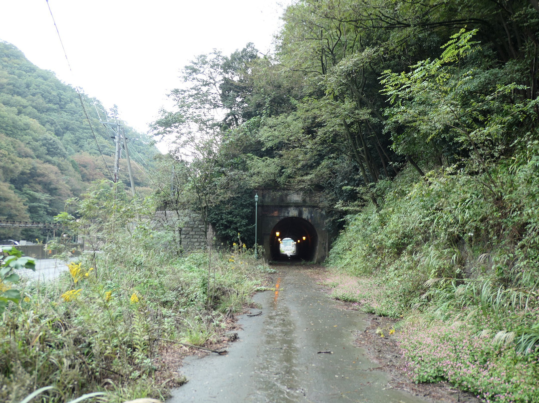 Kyu Hokurikusen Kashimagari Tunnel-敦贺市必去景点