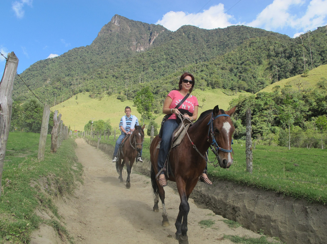 Eje Cafetero Ruta Campesina景点图片