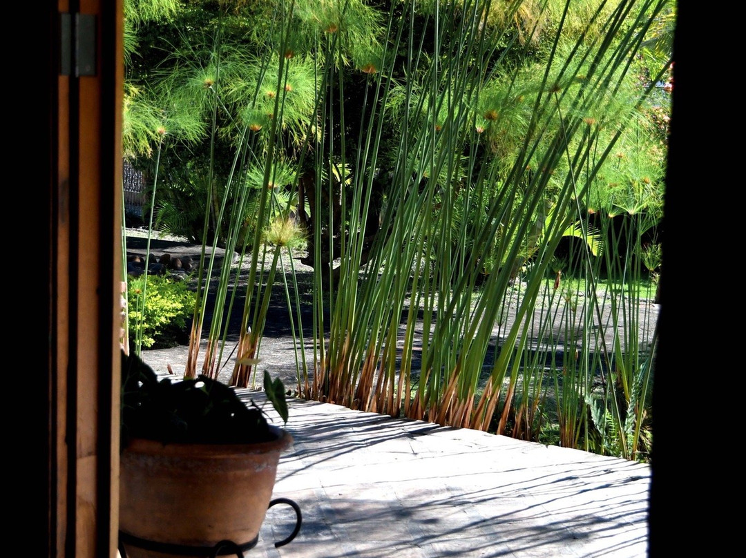 Posada Los Haticos主图