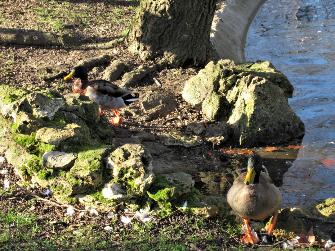 Parc de la Mairie-Livry-Gargan必去景点