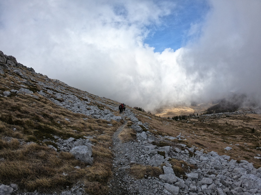 Premuzic Trail景点图片
