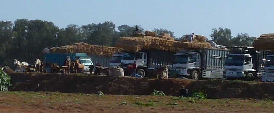 Bouknadel旅游攻略图片