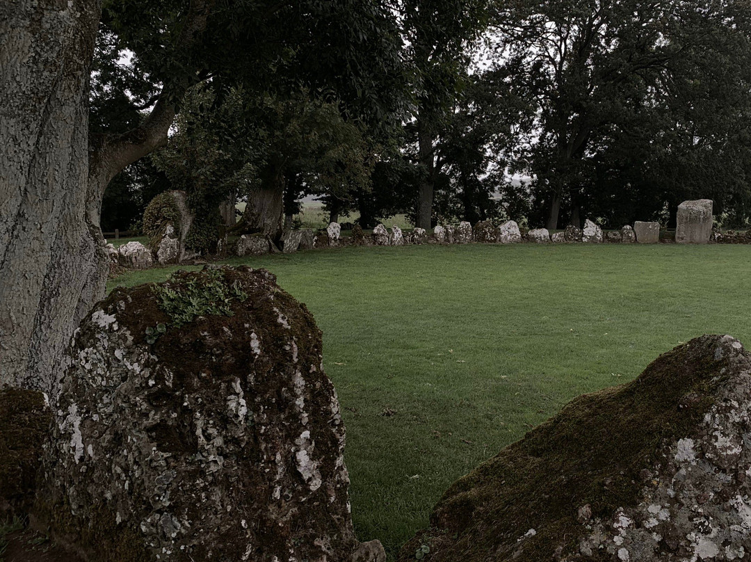 Grange Stone Circle-Bruff必去景点
