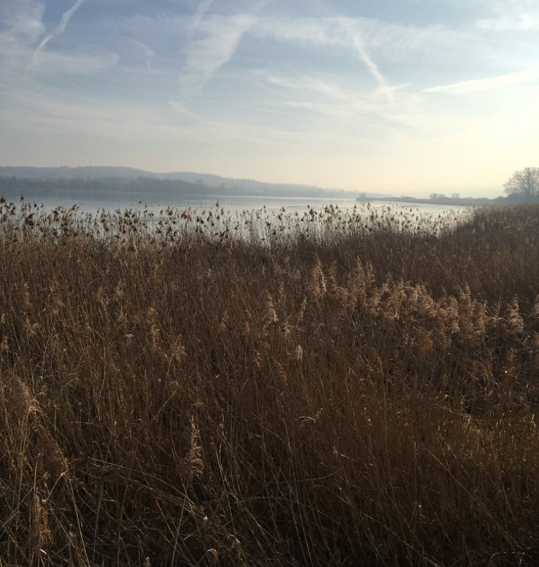 Hotel Christine主图