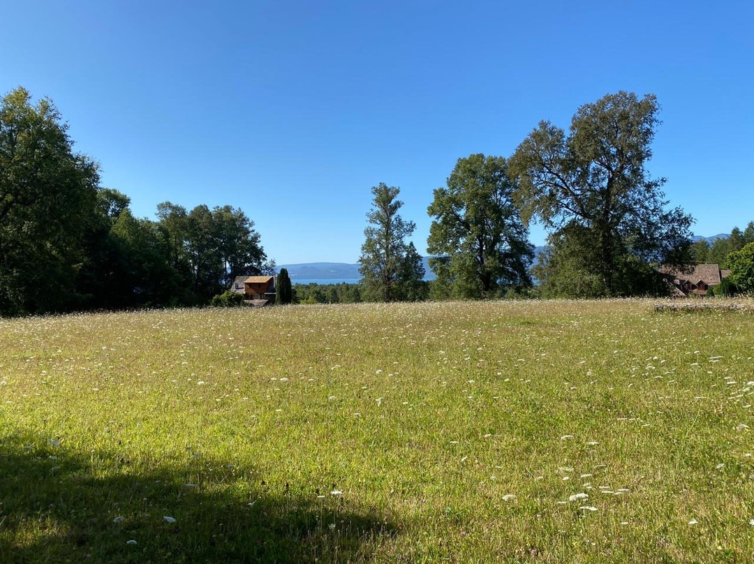 La Codorniz B&B主图