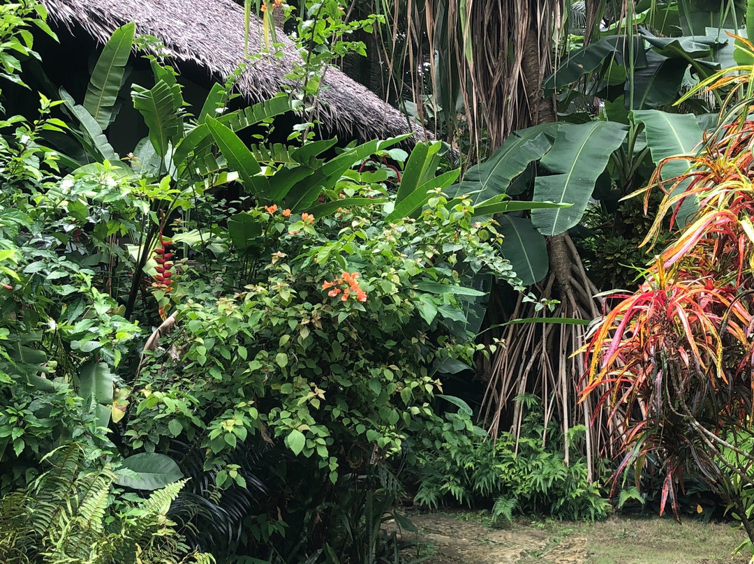 Kawayan Villa Siargao主图