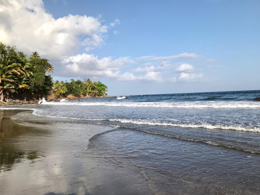 Plage de Bananier-Capesterre-Belle-Eau必去景点