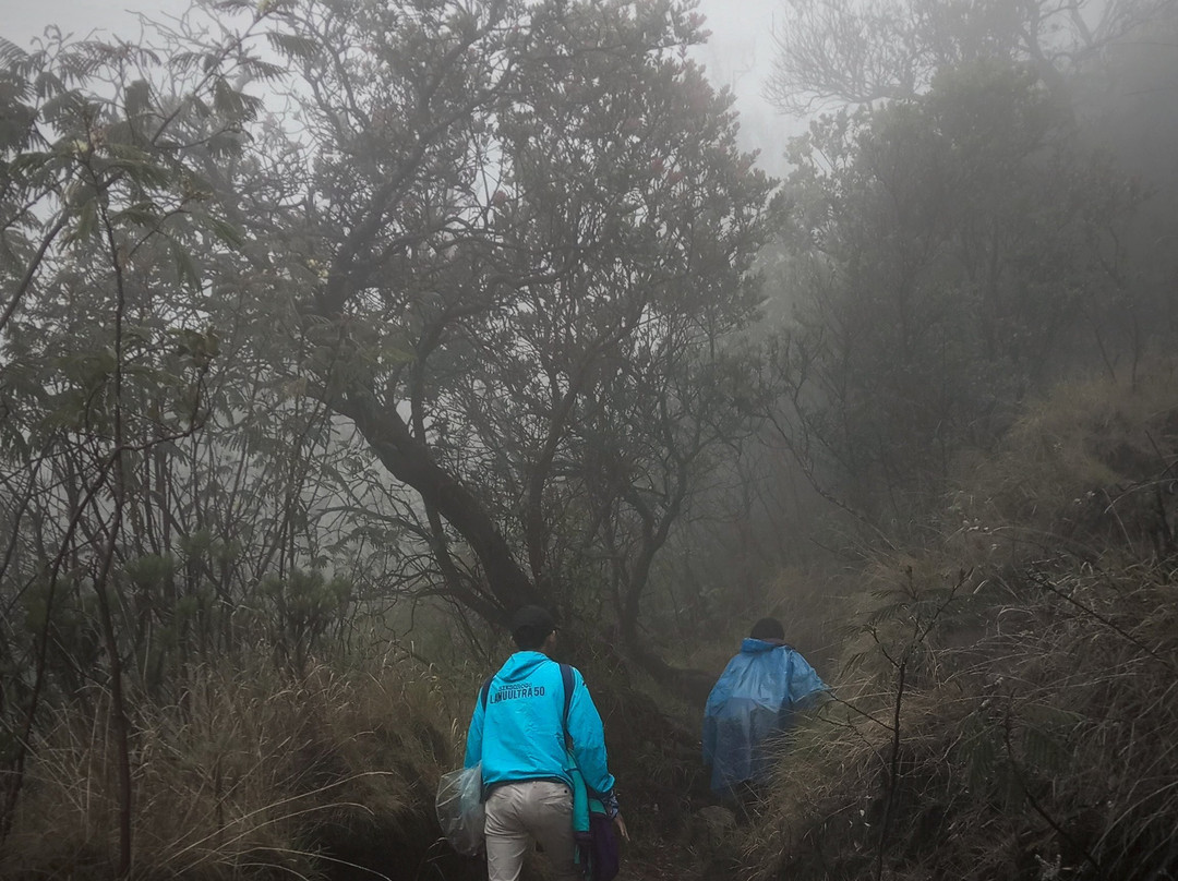 Mount Lawu景点图片
