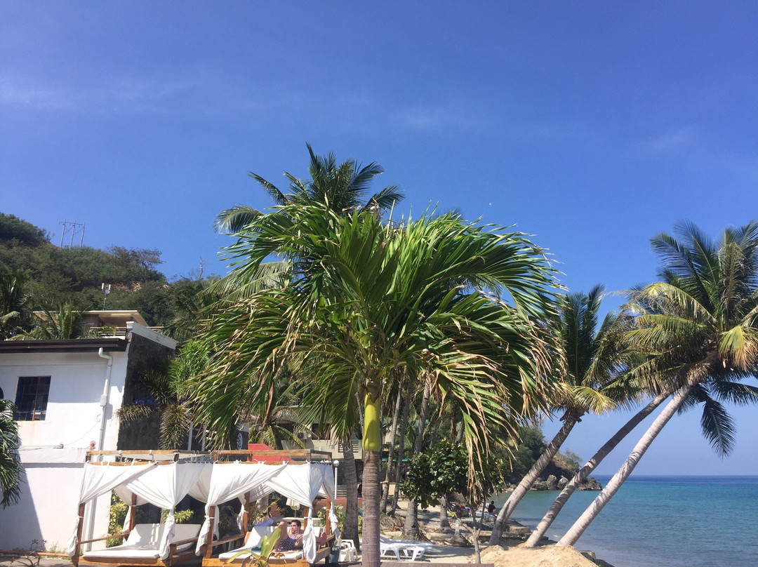 Sunny Beach Resort主图