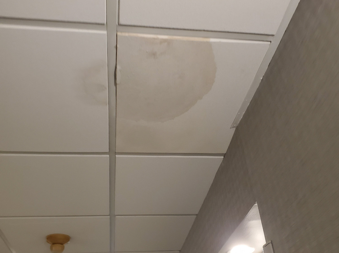 Wingate by Wyndham Goodlettsville主图