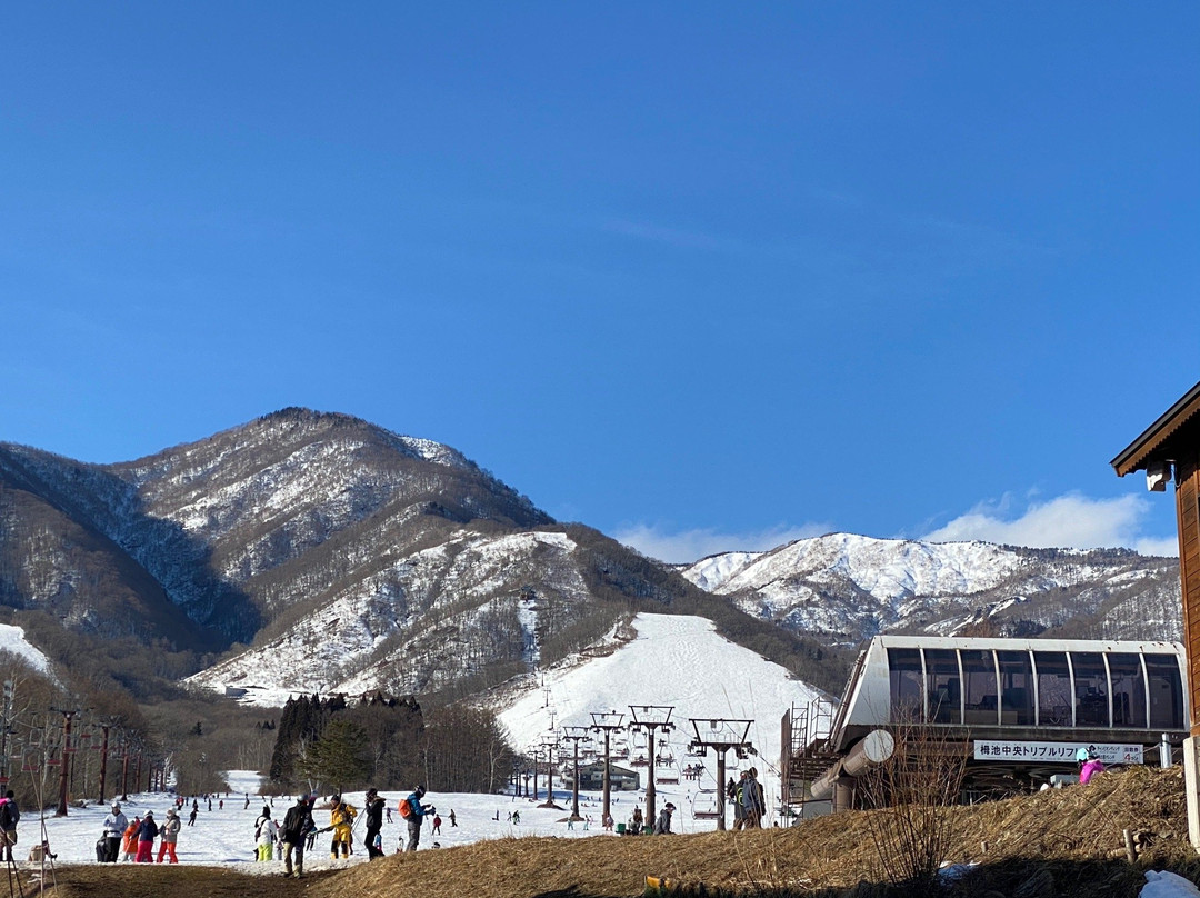 The Alps View主图