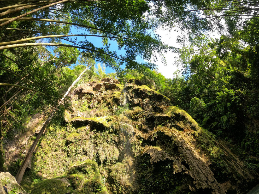 George Whalesharks Tour Services-奥斯洛布必去景点