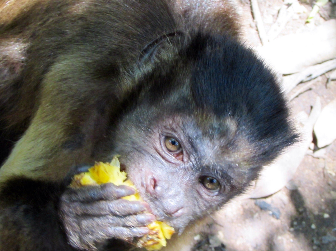 The Hidden Forest Wildlife Sanctuary-巴利托必去景点