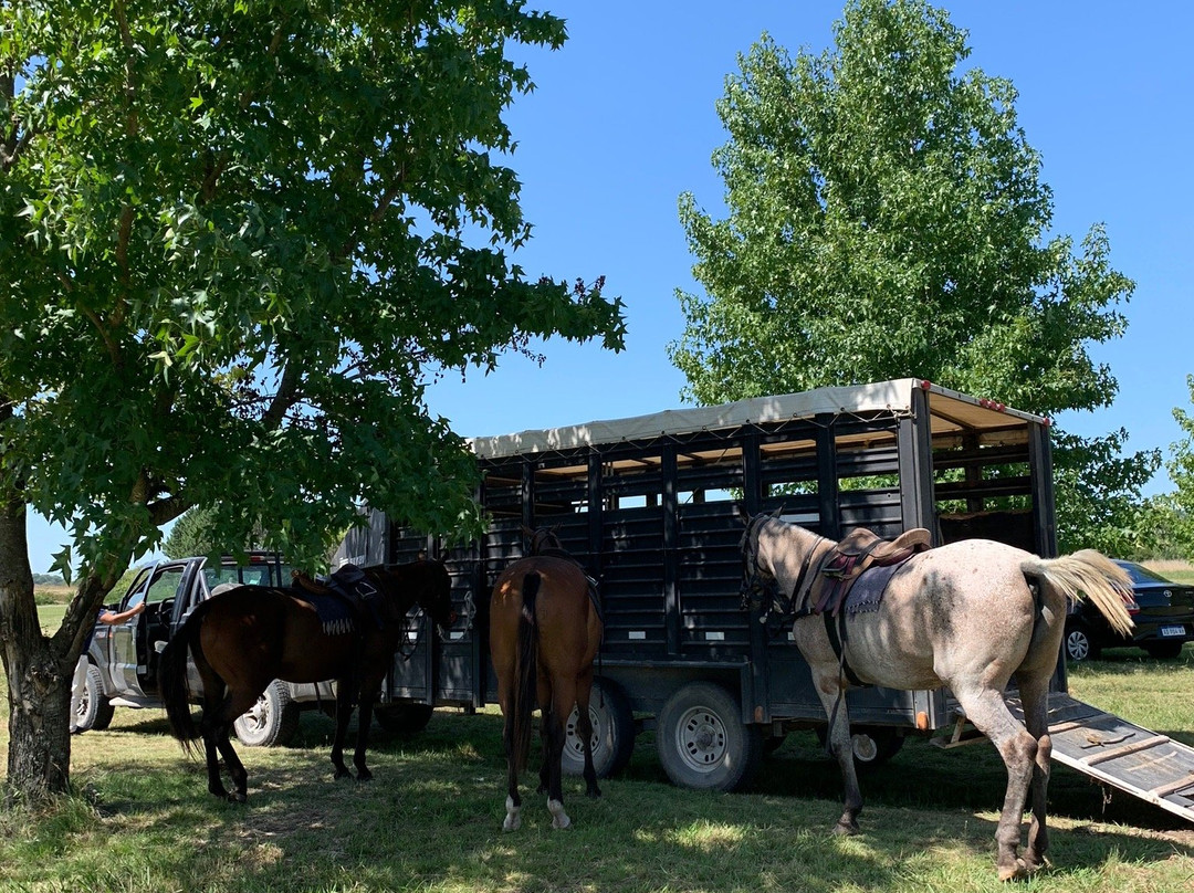 La Amistad Polo-Pilar必去景点