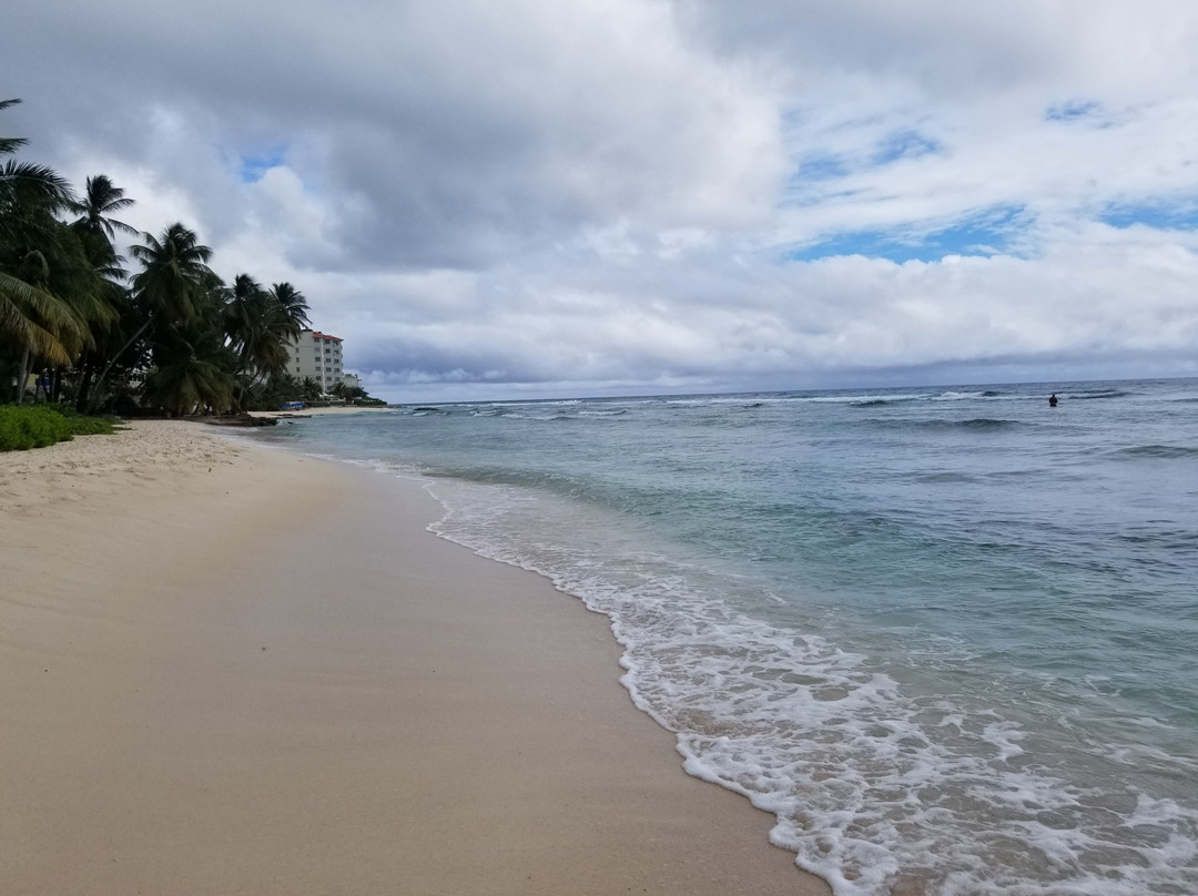 Courtyard by Marriott Bridgetown, Barbados主图