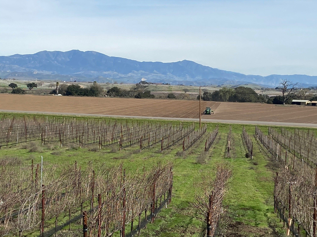 Wine Edventures of Santa Barbara景点图片
