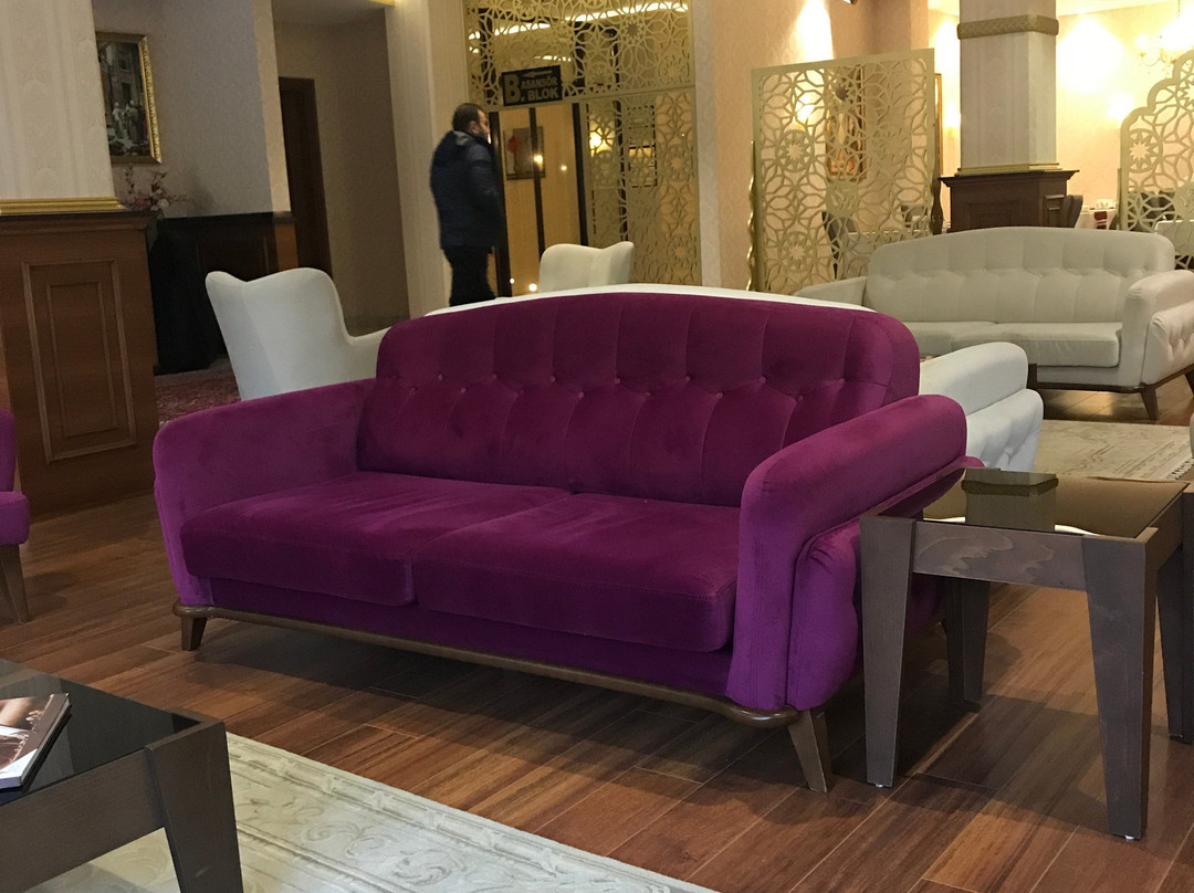 Ugur Termal Residence主图