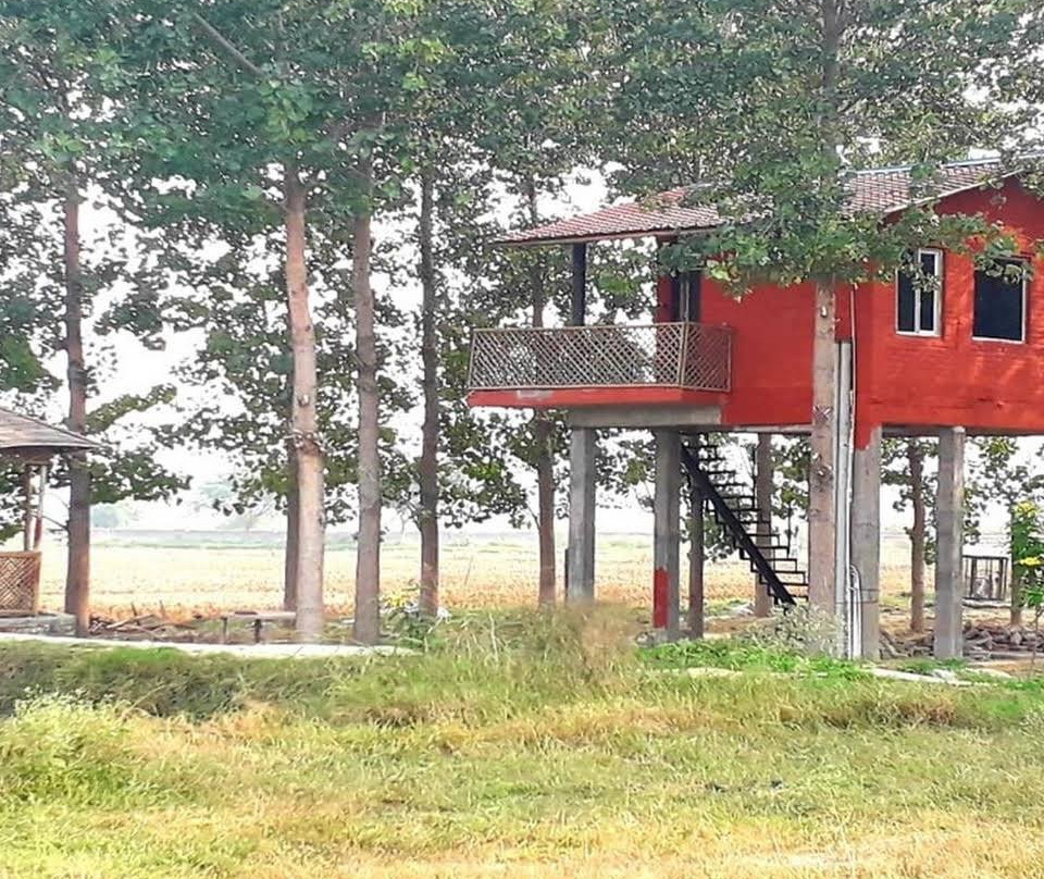 Chahal Tree Farm House主图