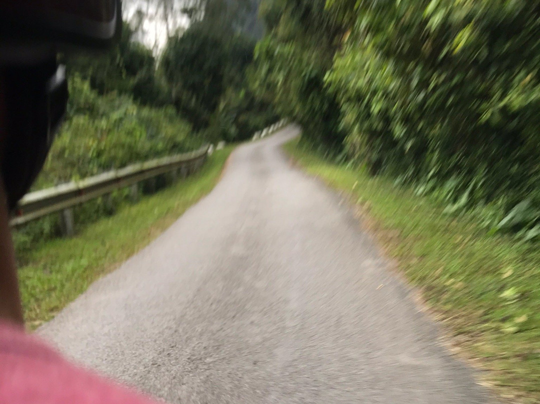 Thang's Phong Nha Riders景点图片