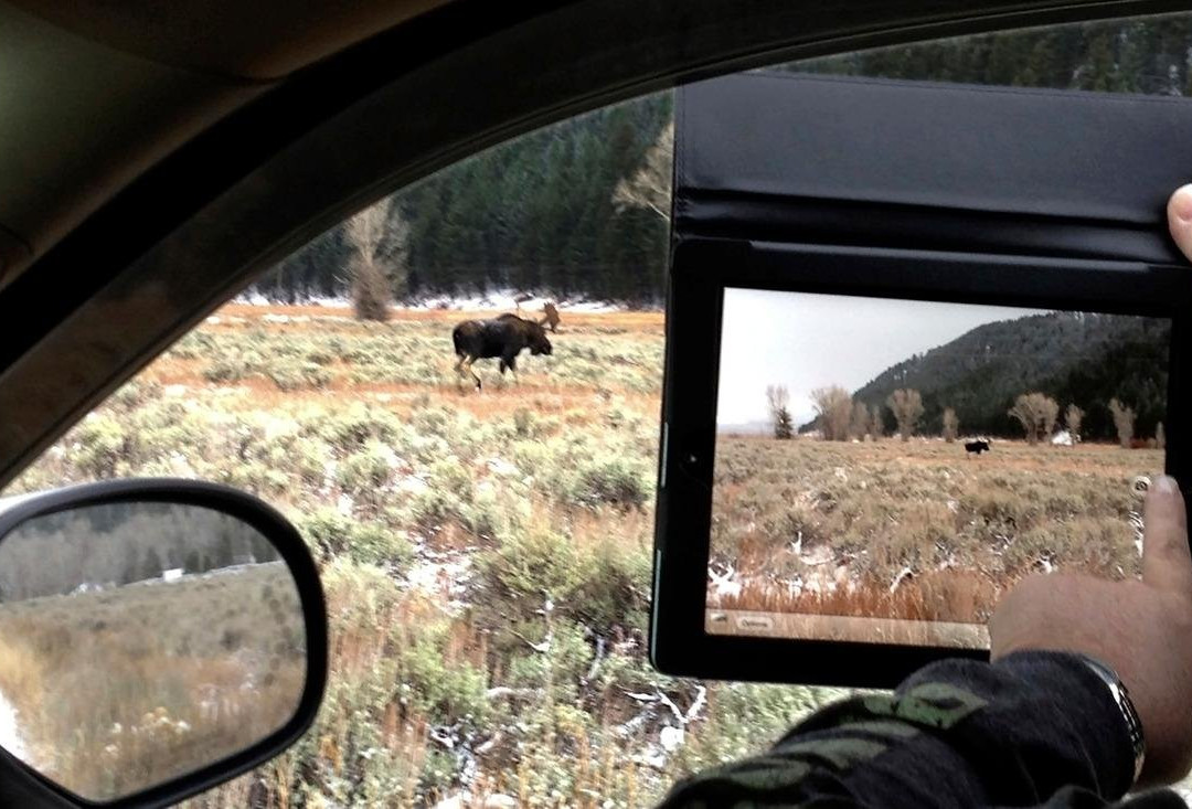 Swan Valley Tours-天鹅谷必去景点