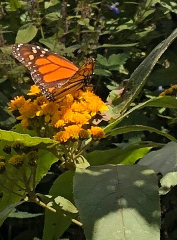 Superior Tours Vallarta-瓦拉塔港必去景点