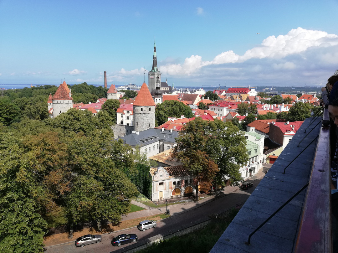 Peter Good Tours-圣彼得堡必去景点