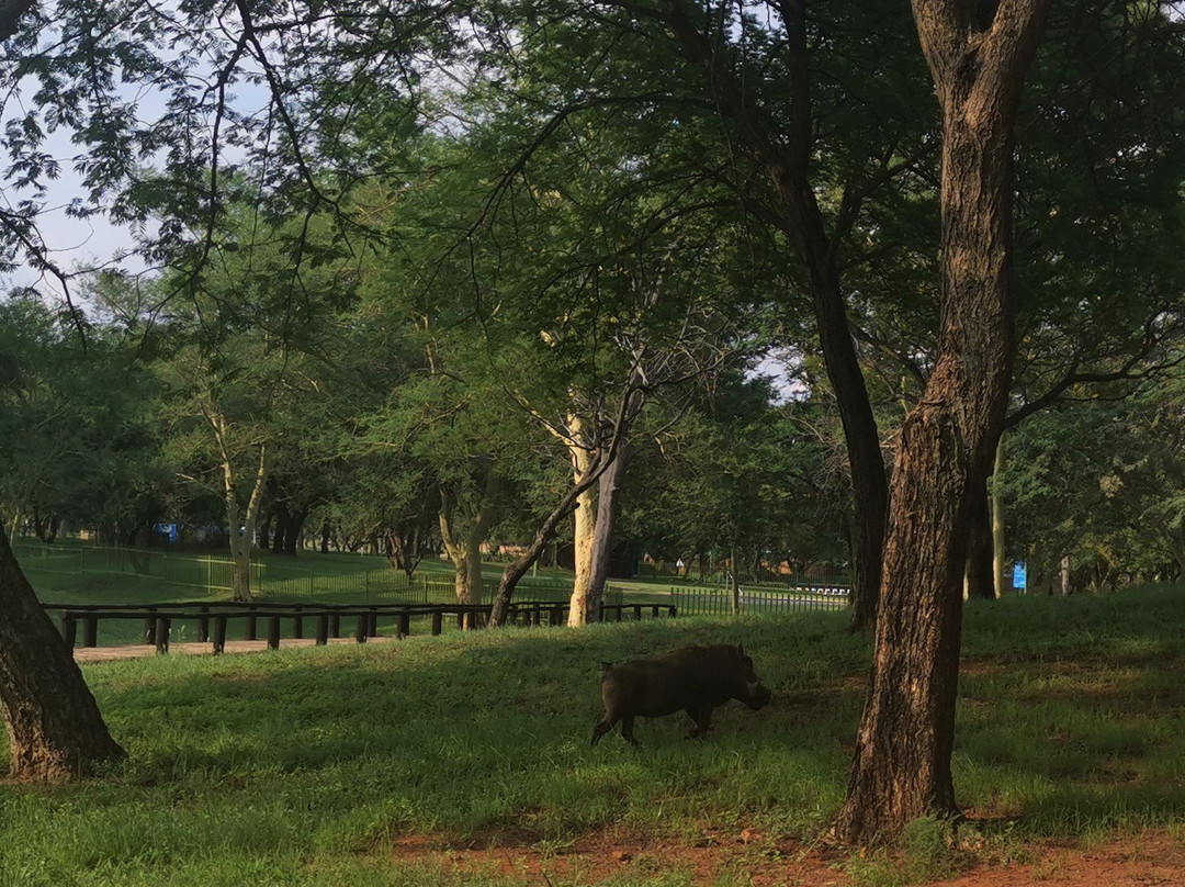 Warmbaths, A Forever Resort主图