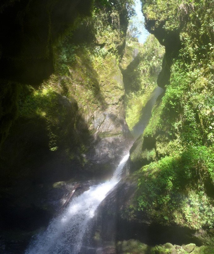 La Cueva de los Guacharos景点图片