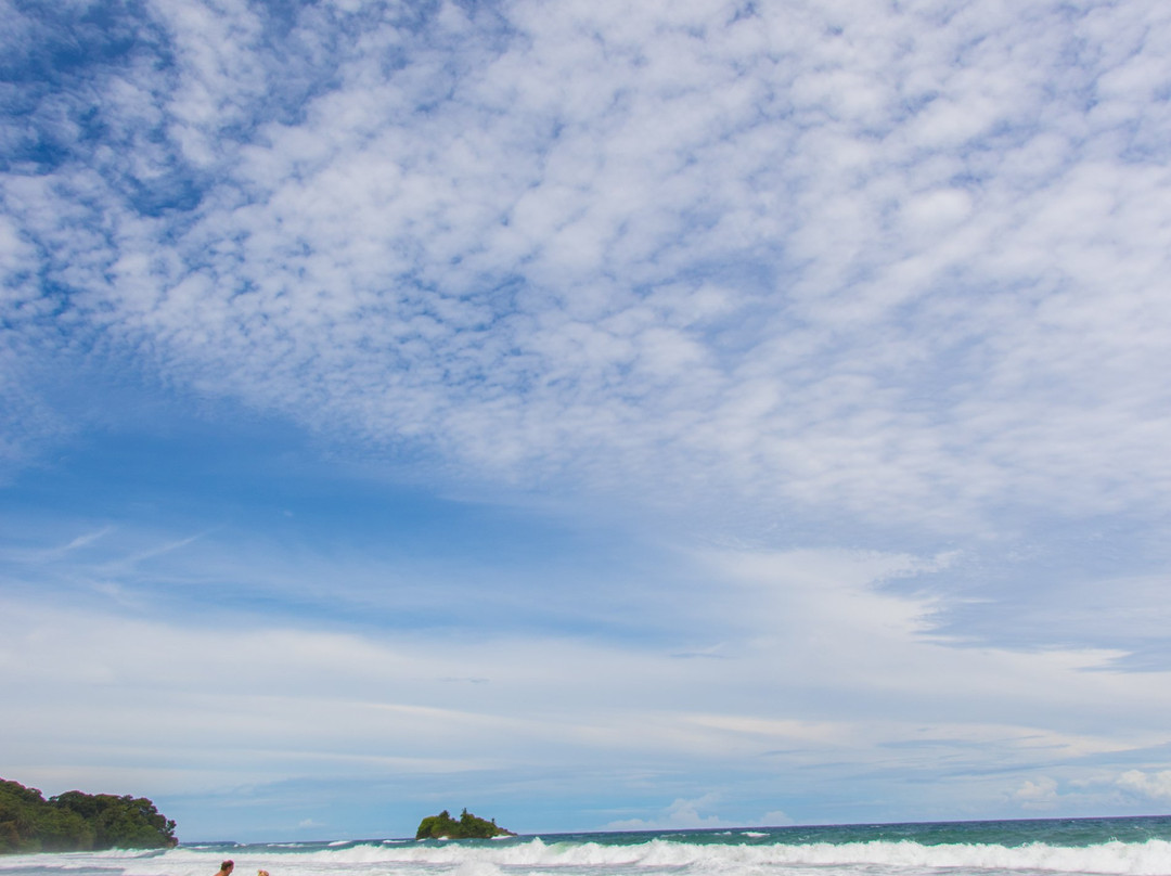 Playa Cocles景点图片