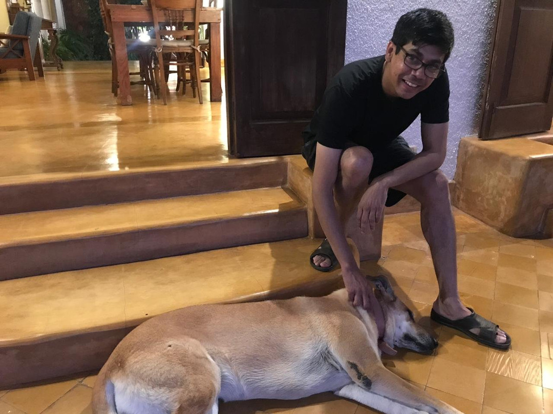 Capella Forest Retreat & Homestay主图