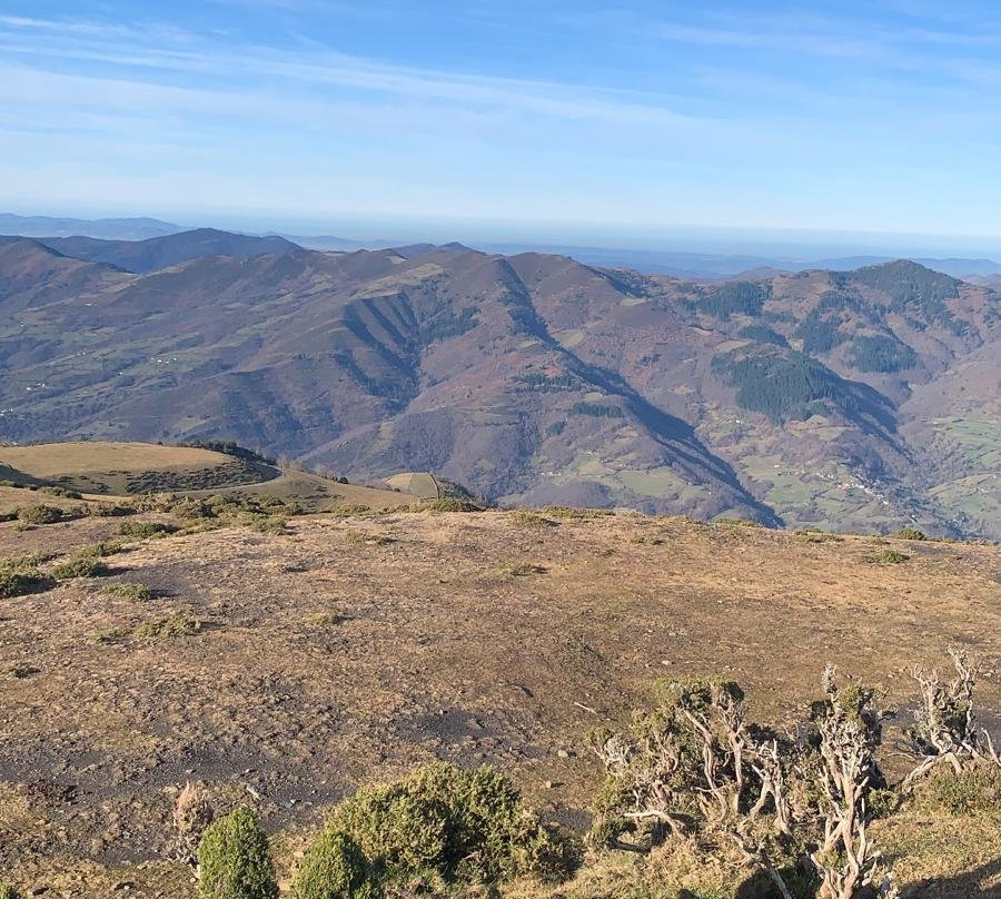 Mirador Coto Bello景点图片