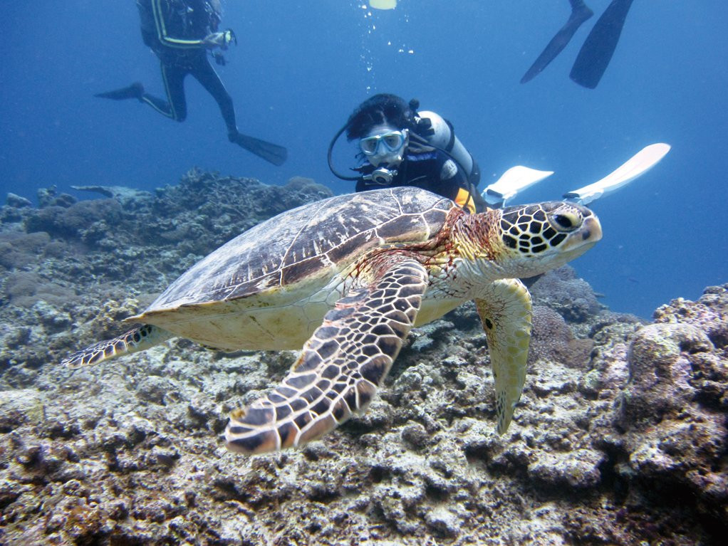 Keramashoto National Park-岛尻郡必去景点