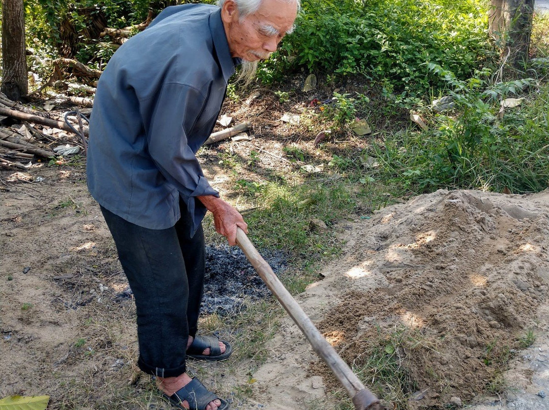 Tra Que Vegetable Village-会安必去景点
