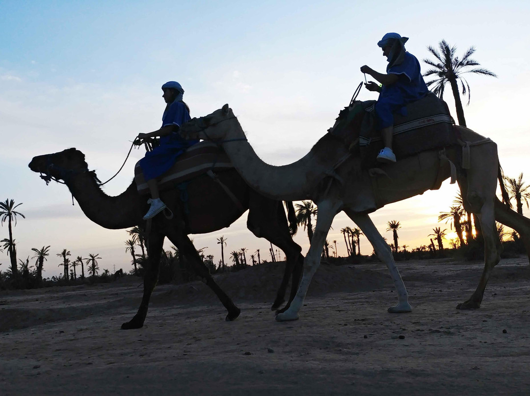 Sun Quad Aventure-Palmeraie必去景点