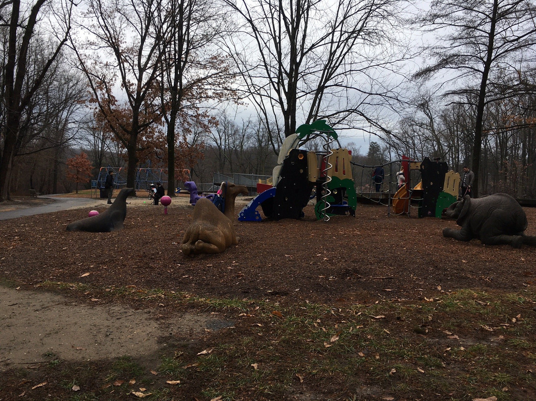 Miniature Train and Carousel at Wheaton Regional Park-惠顿必去景点