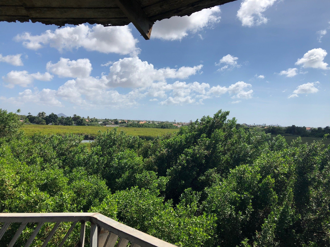 Bubali Bird Sanctuary-棕榈/鹰海滩必去景点