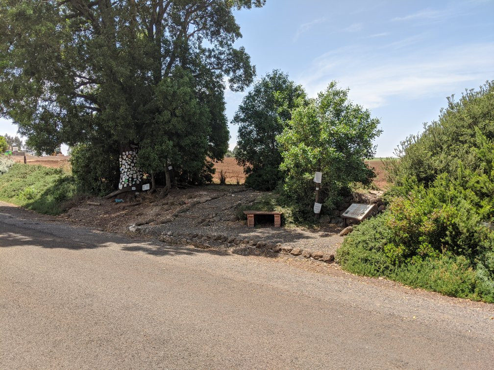 The Three Lost Children Walk & Monument-Musk必去景点