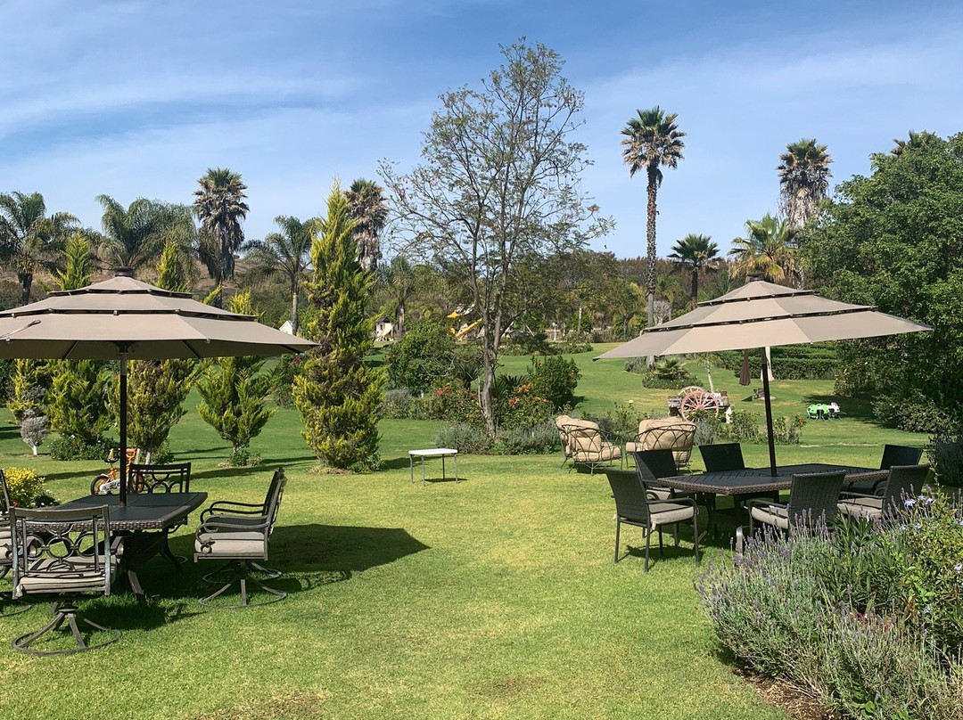 Hotel Matea San Isidro主图