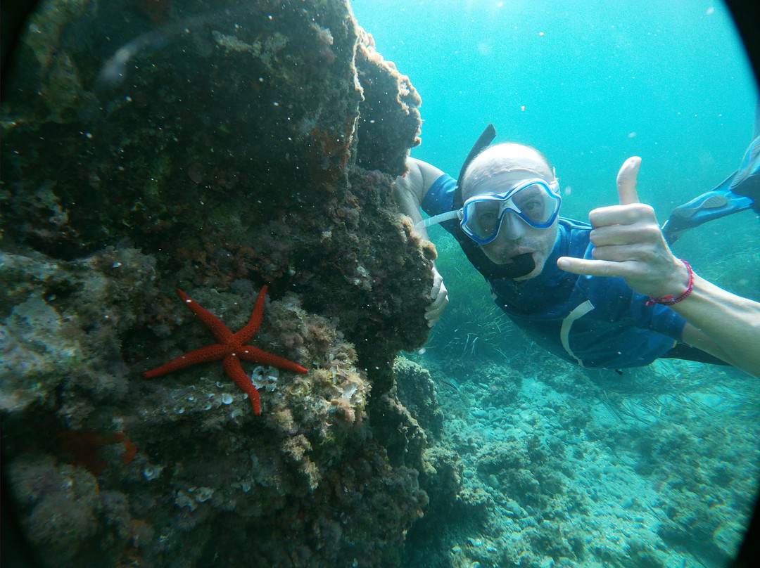 Snorkel Cabo de Gata景点图片