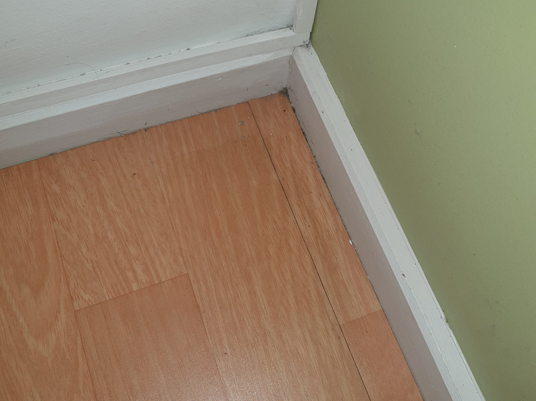 Warrington Motel, J20 M6 Lymm Services主图