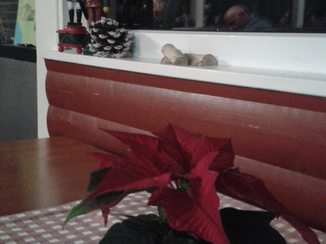 Heeslingen旅游攻略图片