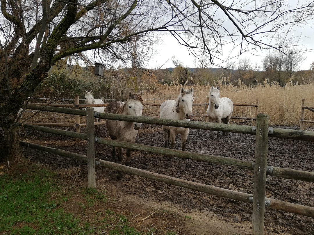 Reserva Natural de Sebes-Flix必去景点