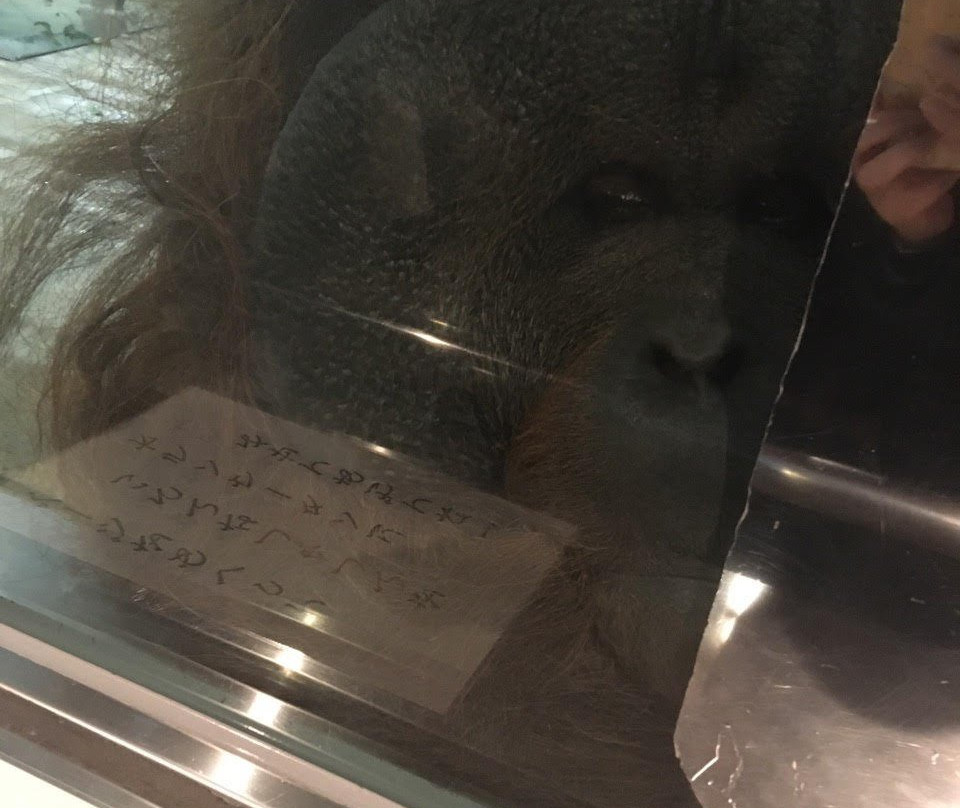 Ishikawa Zoo景点图片