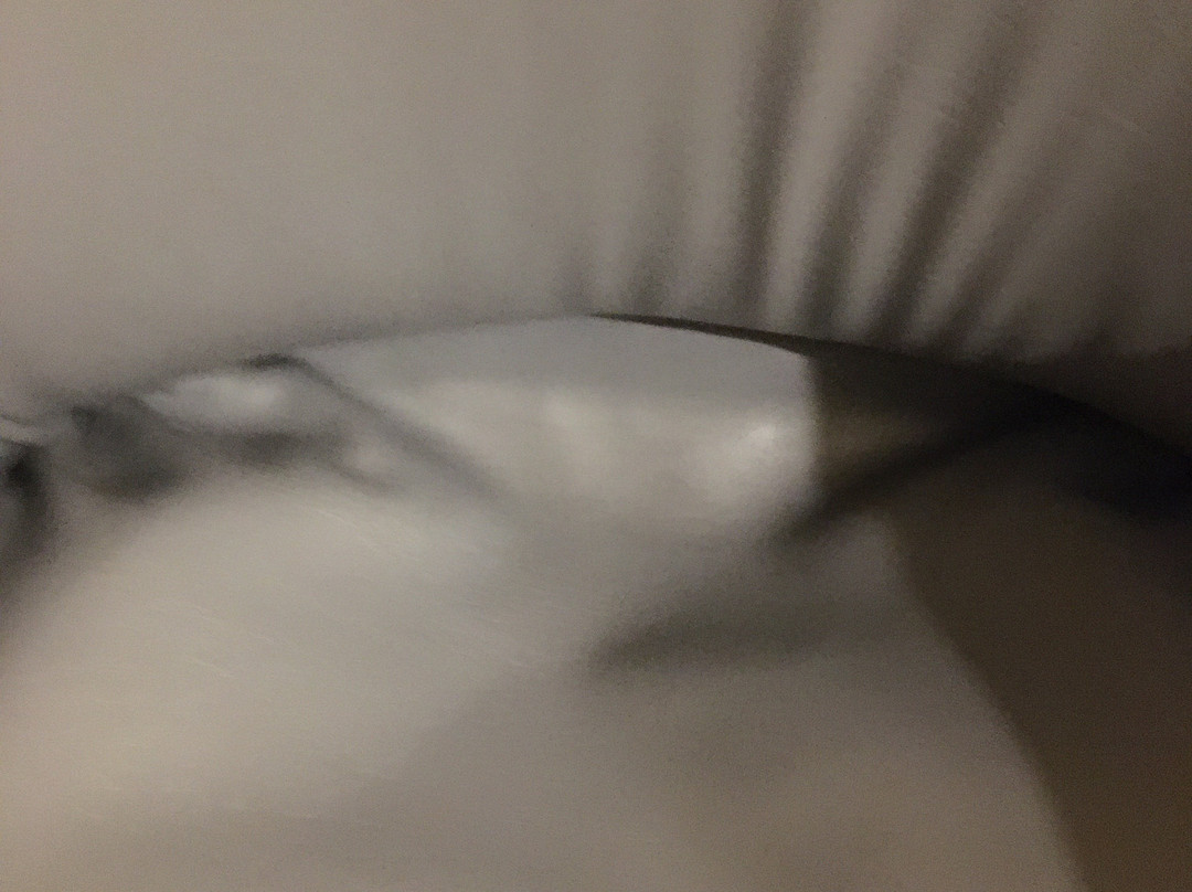 怀特兰洛奇酒店主图