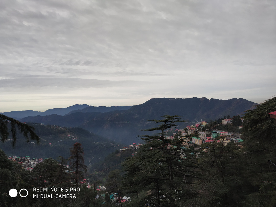 Hotel Kalra Regency主图