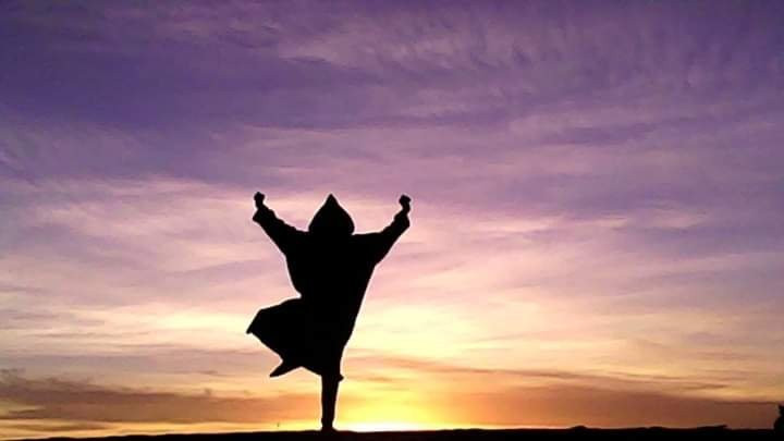 Wilderness Lodge Tours主图