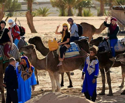 Be In Morocco Tours-非斯必去景点