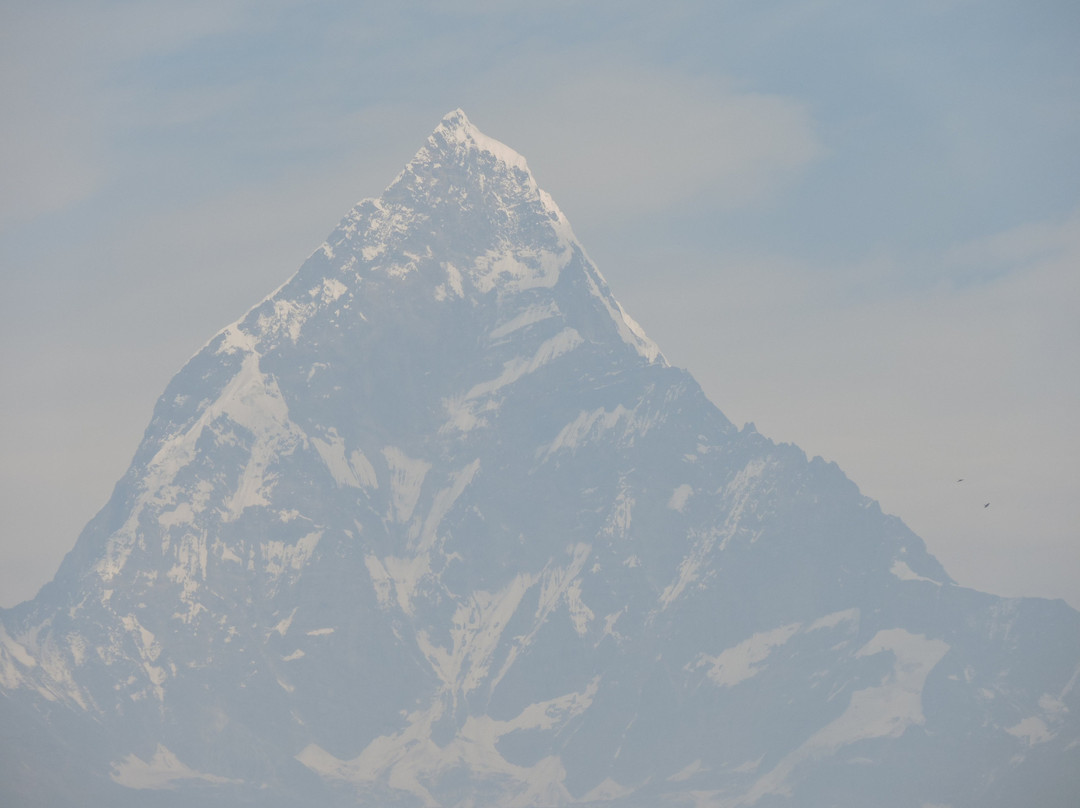 格兰德酒店博卡拉主图