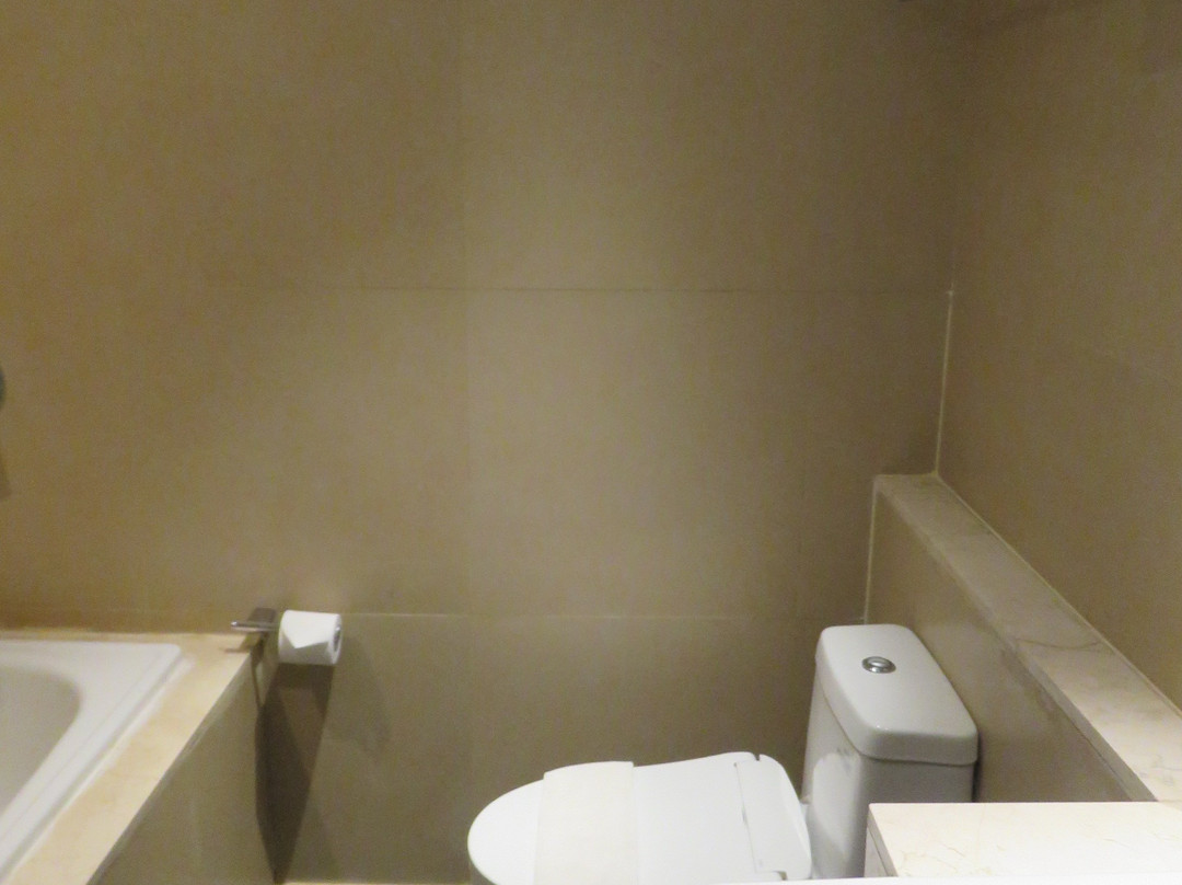 雅加达瑞士贝林机场酒店